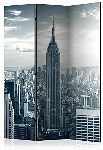 murando Raumteiler Foto Paravent New York 135x172 cm beidseitig auf Vlies-Leinwand Bedruckt Trennwand Spanische Wand Sichtschutz Raumtrenner Design Amerika Stadt Sonne USA Panorama d-C-0135-z-b
