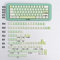 PBT Ginkgo Light Green Keycaps Set - 143 Keys, Cherry Profile, Cute, Custom Dye-Sub, ISO/ANSI, for 60% to 80% Mechanical Keyboards