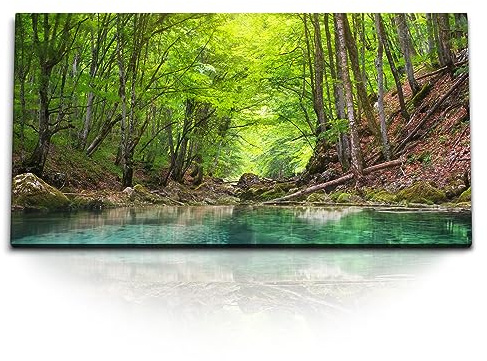Paul Sinus Kunstdruck Bilder 120x60cm Natur Wald Bach Fluss Wasser Grün