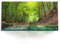 Paul Sinus Kunstdruck Bilder 120x60cm Natur Wald Bach Fluss Wasser Grün