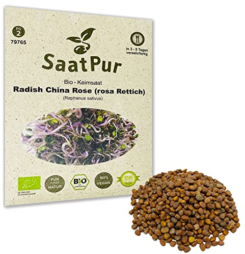 Radish Chine-Roses Radis bio germés de SaatPur - Microgreens - 50 g