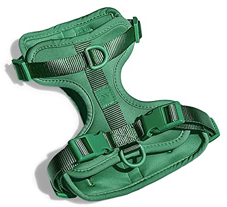 Wild One Harness 2.0 - Large - Spruce