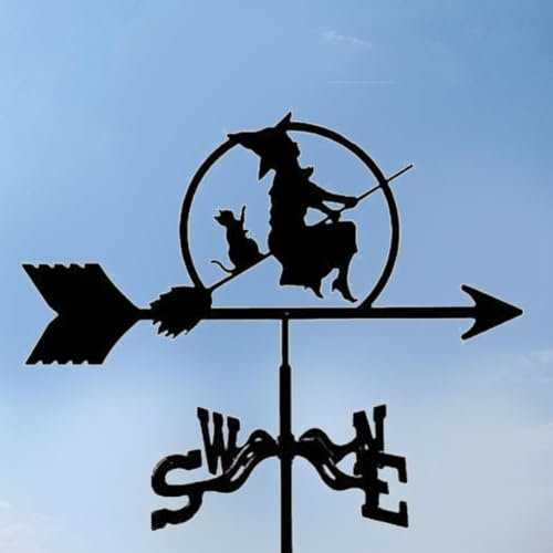 Segnavento in acciaio inox a forma di gallo, banderuola per cortile, giardino, kit ornamento A6o9, palette, capannone tetti