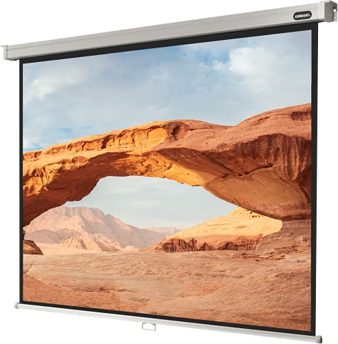 celexon Pro Écran de Projection Manuel 95 | 200x150 cm 4:3 | Écran 4K, Full-HD Extensible manuellement pour Le Bureau ou Les Projections Home Cinéma | Montage Mural & au Plafond/à Suspendre