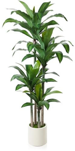 Kazeila Artificial Dracaena Plant 180cm Fake Tall Tree with White Planter,Faux Dragon Tree Plant Indoor Floor Porch Home Decor Office Living Room,1Pcs