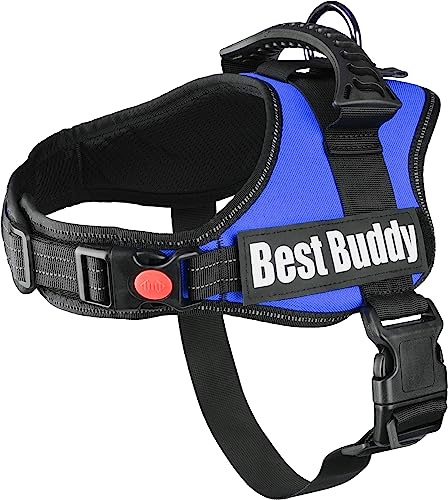 Geschirr Best Buddy Pluto BLAU M 60-80CM*38MM
