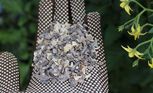 10Kg Hornspäne Obst Gemüse Heckenpflanzen Organischer Biodünger Bio Stickstoffdünger