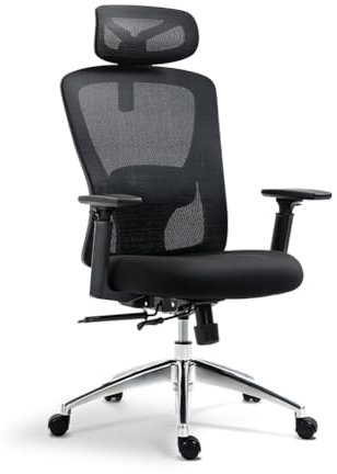 boulies EP200 Ergonomic Office Chair with Adjustable Lumbar Support for Home, High Back Computer Mesh Chair with Adjustable Seat Depth and Headrest