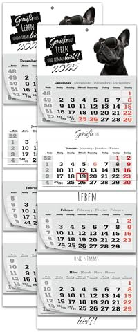 PRIMUS PRINT XXL Kalender 2025 - Mehrblock Wandkalender - 4-Monatskalender - Jahres Blockkalender - mit Datum Schieber - inklusive Feiertagen und Ferien - verschiedene Motive - [ 2x Bulldogge ]