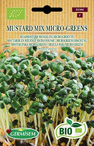 Germisem Orgánica Mustard Mix Micro-Greens Semillas 10 g