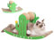 Kaktus-Kratzbaum | Schüttelkarton-Kaktuskratzer | Interessantes Indoor-Haustier-Entspannungsspielzeug, Katzenkratzzubehör, multifunktional für Katzen, Kätzchen, Haustiere Hmltd