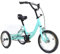 14 Zoll Dreirad Fahrrad Kinderfahrrad, Kinder Jugend Jungen r Balance Fahrrad Mädchen MTB Fahrrad Rad Bike, für Kinder & Seniorenrad 3-Rad Fahrrad 1 Gänge Trike mit Korb Neu,Hellgrün Fahrrad