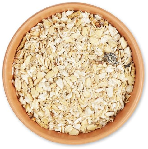 CJ Wildlife Fettfutter für Wildvögel mit Mehlwürmer – Vogelfutter Wildvögel ganzjährig – Küken-Booster mit Eiweiß – Wildvogelfutter für Bodenfresser wie Amseln und Rotkehlchen