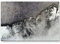 Paul Sinus Art Leinwandbilder | Bilder Leinwand 120x80cm abstraktes Gemälde in grau und weiß