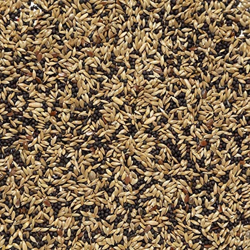 Il Contadino - Antichi Becchimi | MISCUGLIO per CANARINI | Formula Ricca di Semi Selezionati Adatta per Tutto L'Anno, No OGM, 100% Vegetale, Assenza di scarti. qualità Superiore (5 kg)
