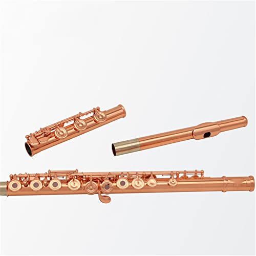 ZUZU Anfängerflöte Hohe Qualität Rose Gold Überzogene Flöte 17 Tasten Öffnen Sie Löcher B Fuß Italienische Pads Mit Fall Querflöte