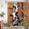 QWRSMYX Bauernhof Kuh Duschvorhang Bauernhaus Scheunentür Rustikal Vintage Holz Land Wildtiere Lustiges Rind Badezimmer Set Polyester Stoff mit Haken 213 x 178 cm (B x H)