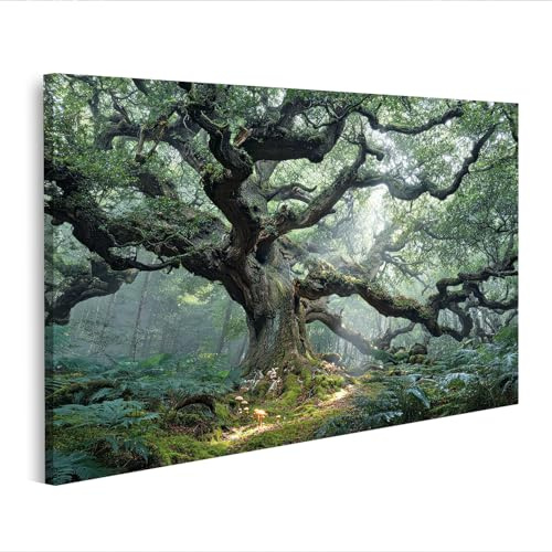 islandburner Leinwandbild Uralter Baum im dichten Wald mit Lichtstrahlen und Moos - Leinwand 80x40cm