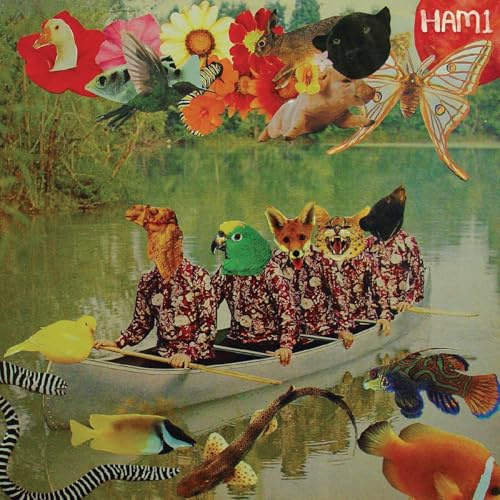 Let's Go On And On And On With Ham1