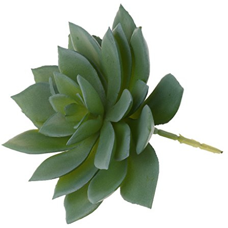 MagiDeal Echeveria Lotus Kunstpflanzen Künstliche Sukkulenten //Garten Dekor