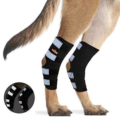 NeoAlly Rückenbeinbandage für Hunde und Hund, reflektierend, für Gelenkverletzungen und Verstauchungen, Wundheilung und Stabilitätsverlust bei Arthritis, L, schwarz/orange