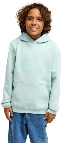 Quiksilver Jungen Comp Logo Hoodie Youth Pullover (1er Pack)