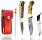 Olive Wood 6.5'' Custom Handmade Damascus Steel Brass Bloster Back Lock Folding Pocket Knife 100% Prime Quality with Sharpening Rod Plus Best Buffalo Horn Stainless Steel Pocket Knive