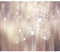 decomonkey Fototapete Pusteblume 300x210 cm XL Tapete Fototapeten Vlies Tapeten Vliestapete Wandtapete moderne Wandbild Wand Schlafzimmer Wohnzimmer Blumen Abstrakt