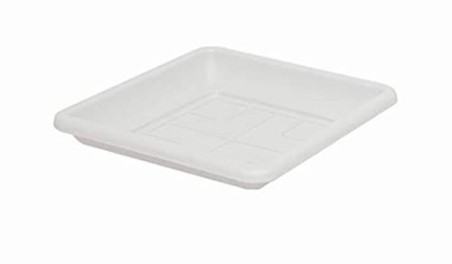 House&Style SOTTOVASO Quadro Bianco X Vaso 35 5792, Come da Foto