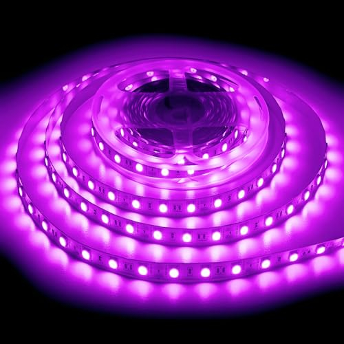 ShineBurky Striscia LED 12V 5 Metri Rosa, Strisce LED Adesive SMD5050 300LEDs Luci LED Strip Light Flessibili Tagliabile per Camera Cucina TV Decorazione (Senza Alimentatore)