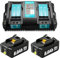 2Pack 18V 8000mAh BL1860B Replacement for makita 18v batteries and charger + 6A Dual Ports Fast Charger Compatible with makita battery charger BL1860B BL1840B BL1830B BL1820 BL1815 (2BL18+C)