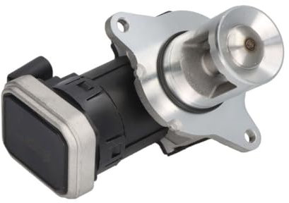 Hella 7.24809.59.0 Fkm/Fpm Electric Egr Valve