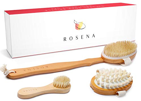 Juego de cepillos corporales Dry Brush - Ideal para la celulitis y el drenaje linfático - Juego de spa con cerdas naturales - Exfoliante de espalda de mango largo y cepillo facial
