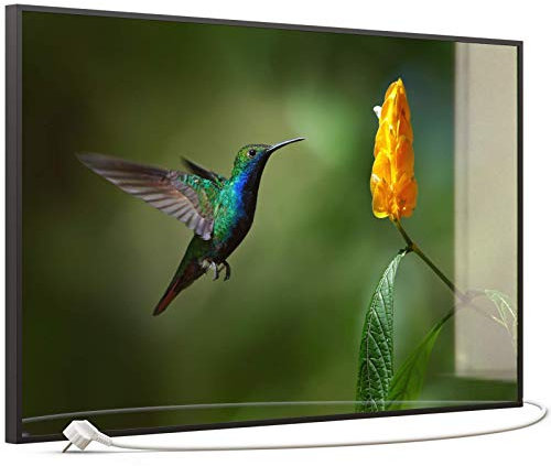 STEINFELD Heizsysteme® Glas Bild Infrarotheizung mit Thermostat | Made in Germany | viele Motive 350-1200 Watt Rahmen schwarz (600 Watt, 048 Kolibri)