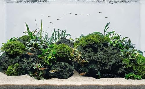 LANDEN Black Lava Stones (16lbs,3~10inch,11pcs) for Aquascaping Terrariums, Paludarium, Vivariums, Reptile and Amphibian Enclosures