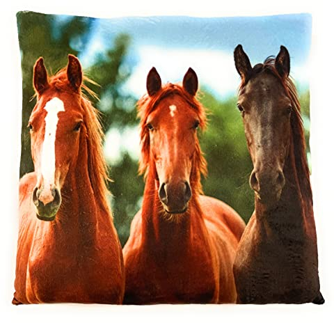 Onwomania Pferde Pferd reiten Plüsch Kissen für Sofa oder Bett als Deko, Dekoration oder Kuschelkissen 35x35 cm