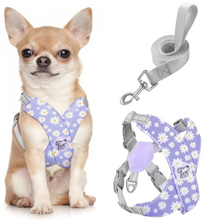 Pawaboo Puppy Harness and Lead Sets, Small Dog Harness X-Frame No Pull No Choke, Dog Vest Harness Adjustable for Small Medium Sized Dogs, Soft Breathable Pet Harness Walking Outing, S, Purple Daisy