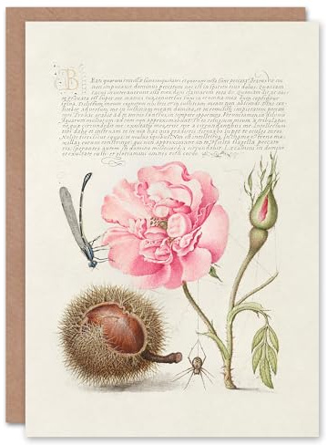 Artery8 Model Book of Calligraphy Art Card Damselfly Rose Chestnut Spider