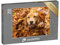 puzzleYOU: Puzzle 200 Teile „Golden Retriever, versteckt im Herbstlaub“ – aus der Puzzle-Kollektion Hunde, Golden Retriever