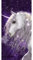 Einhorn Bade-Handtuch 70x140 Baumwolle Strandtuch Badetuch Duschtuch Strandlaken Unicorn