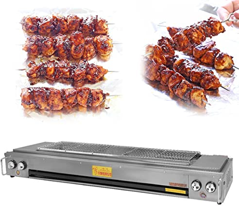Profi Gasgrill mit Grillrost, Gasregler Stufenlos, Brenner aus Edelstahl, Gasbräter Inkl. Grillrost Edelstahl Zerlegbar, Abtropfblech, Edelstahl-Grillrost, Balkon-Grill,Ideal für Camping,Sc 03 5(200)