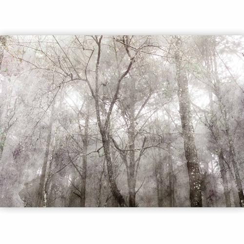 murando PREMIUM Papier peint Arbres 400x280 cm Décoration Murale XXL Poster Tableaux Muraux Tapisserie Photo Trompe l'oeil Foret Paysage Abstrait gris b-C-0996-a-a