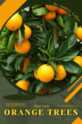 Orange Trees: Plant Guide