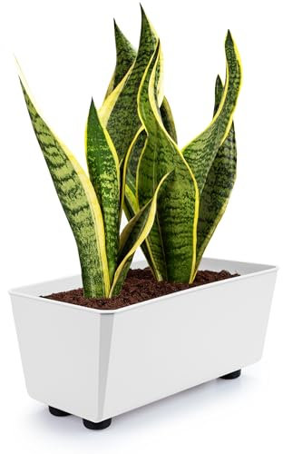 KONZEPT Macetero rectangular con patas – Jardinera pequeña de 4,2 l, maceta ideal para alféizar de ventana y plantas de interior