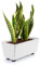KONZEPT Macetero rectangular con patas – Jardinera pequeña de 4,2 l, maceta ideal para alféizar de ventana y plantas de interior