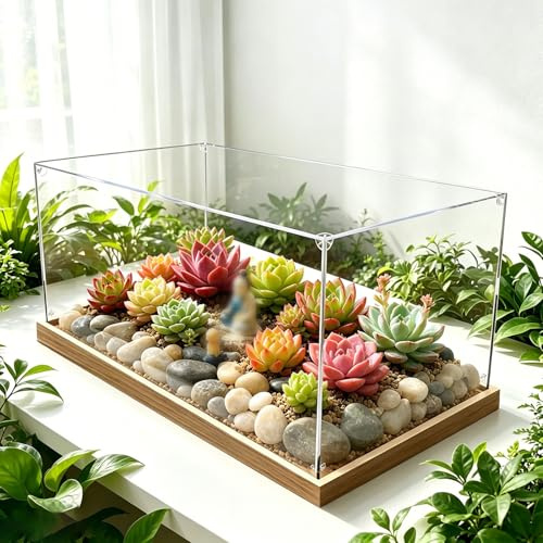 Vibeo Acryl Vitrine Montage Einer Vitrine mit Starkem Holzmaserungssockel, Transparente Rechteckige Acrylbox, 10 25 40 60 70 cm Staubdichte Vitrine für Sammlerstücke(75x40x40cm/30x16x16in)