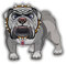 postwalldecor English Bulldog Hochwertigen Auto-Autoaufkleber 12 x 12 cm