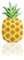 Intex Luftmatratze Badeinsel Ananas 216x124cm
