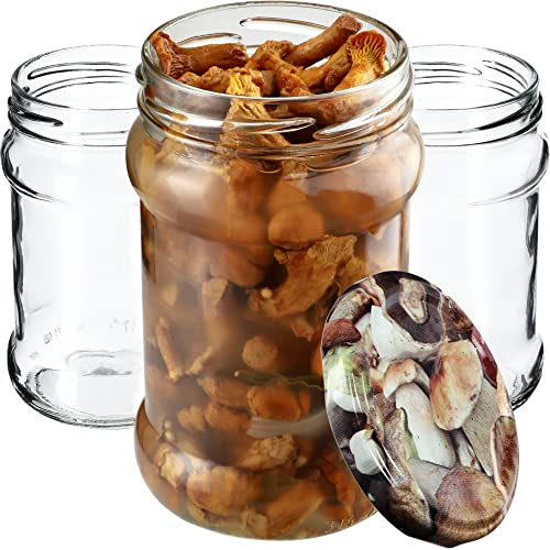 KADAX Tarros pequeños de conservas de 315 ml, fi66 para miel, tarros de mermelada con tapa, frascos herméticos, vidrio de conserva, vasos redondos, tarros de mermelada (10 unidades)