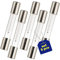 5 Piezas Fusibles Cristal 800 mA 5 kV para Microondas 6 x 40 mm Garantía de 10 Años - MONTERAL